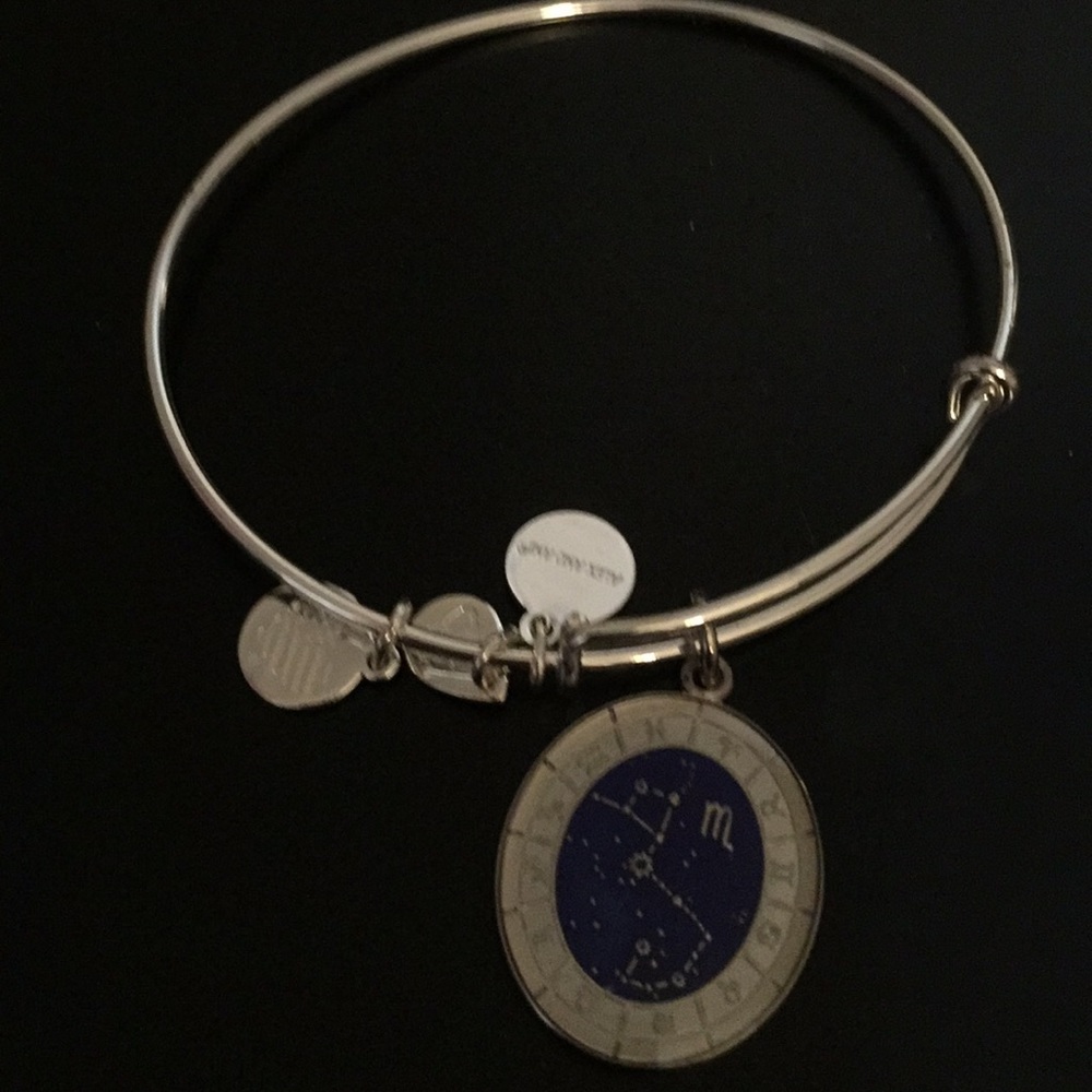 Alex and Ani Scorpio charm bangle